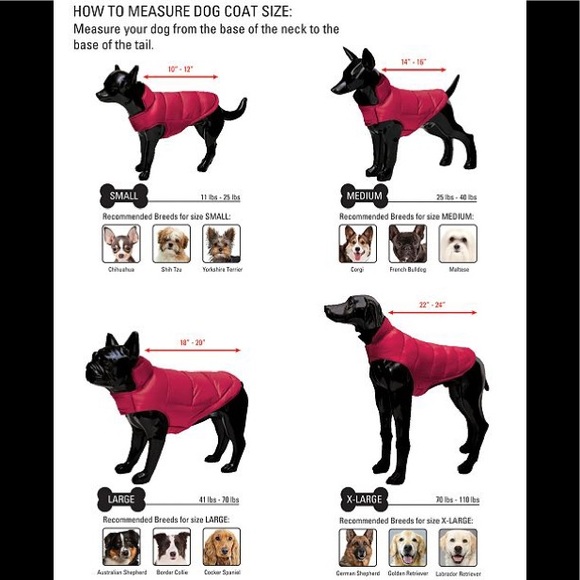 32 Degree Heat Reversible Down Dog Coat 🐶🐾 - Picture 2 of 4